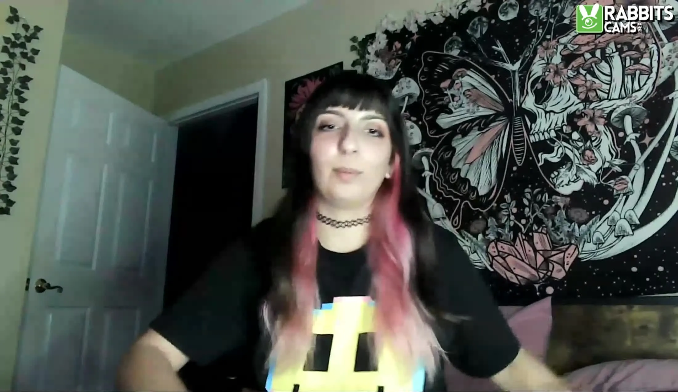 Artista AnnDapper Video 1