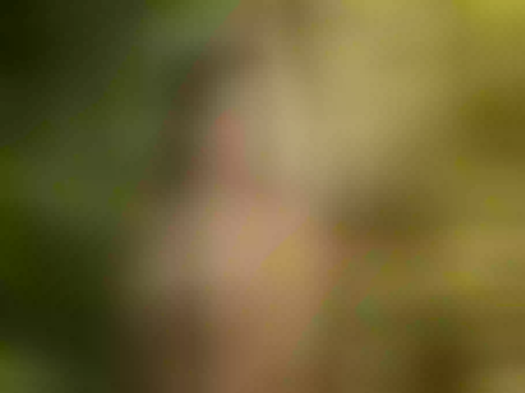 Image de profil du modèle de webcam DakottaScarlett