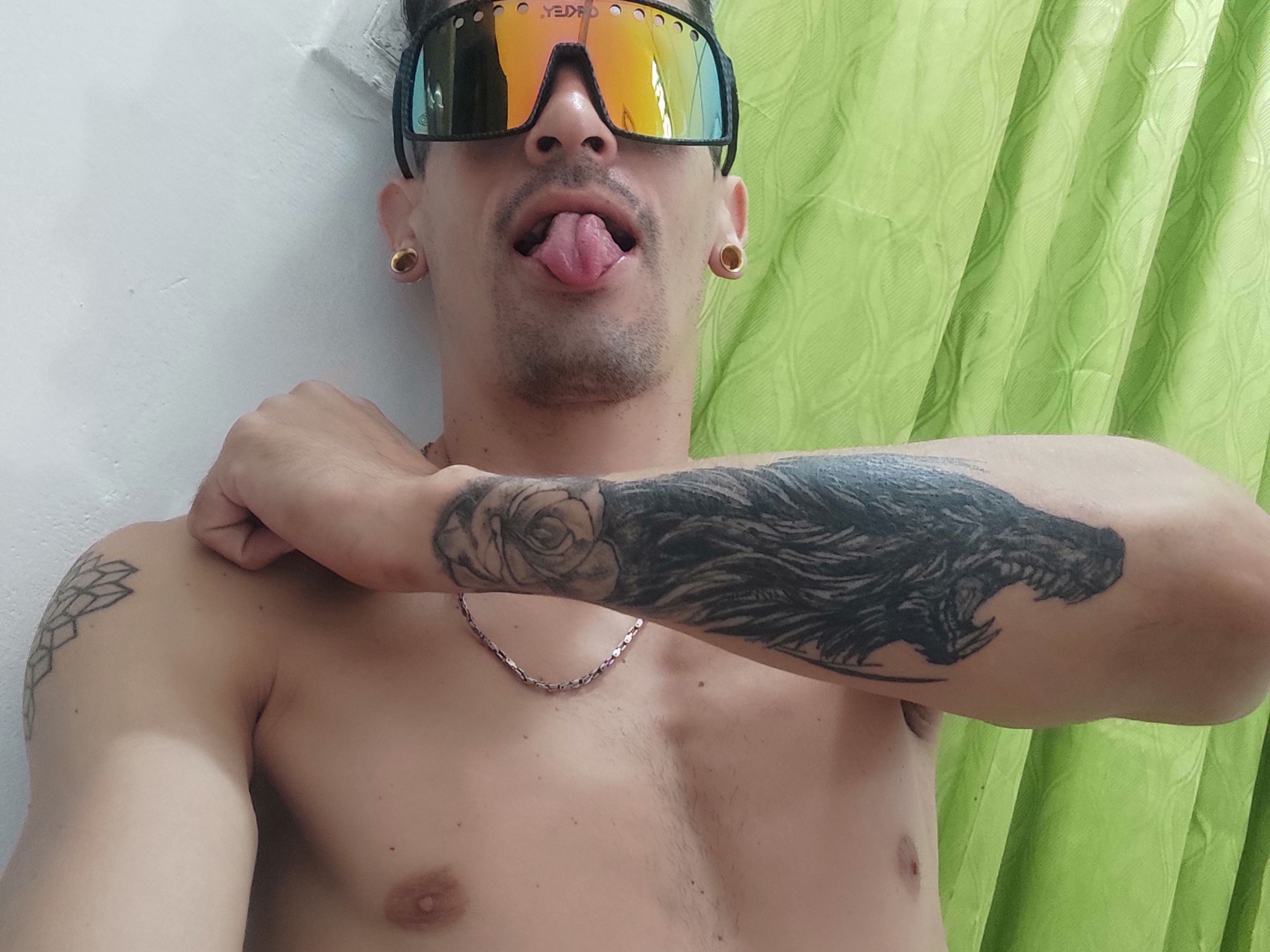 Foto de perfil de modelo de webcam de maicolferrer 