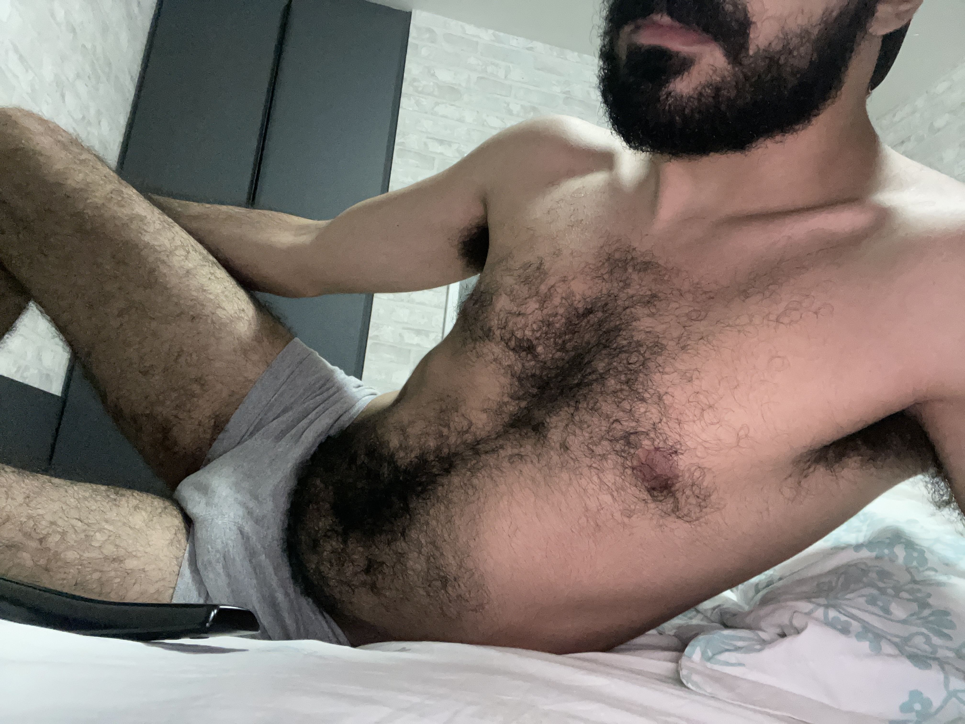 Foto de perfil de modelo de webcam de HairyJoey 