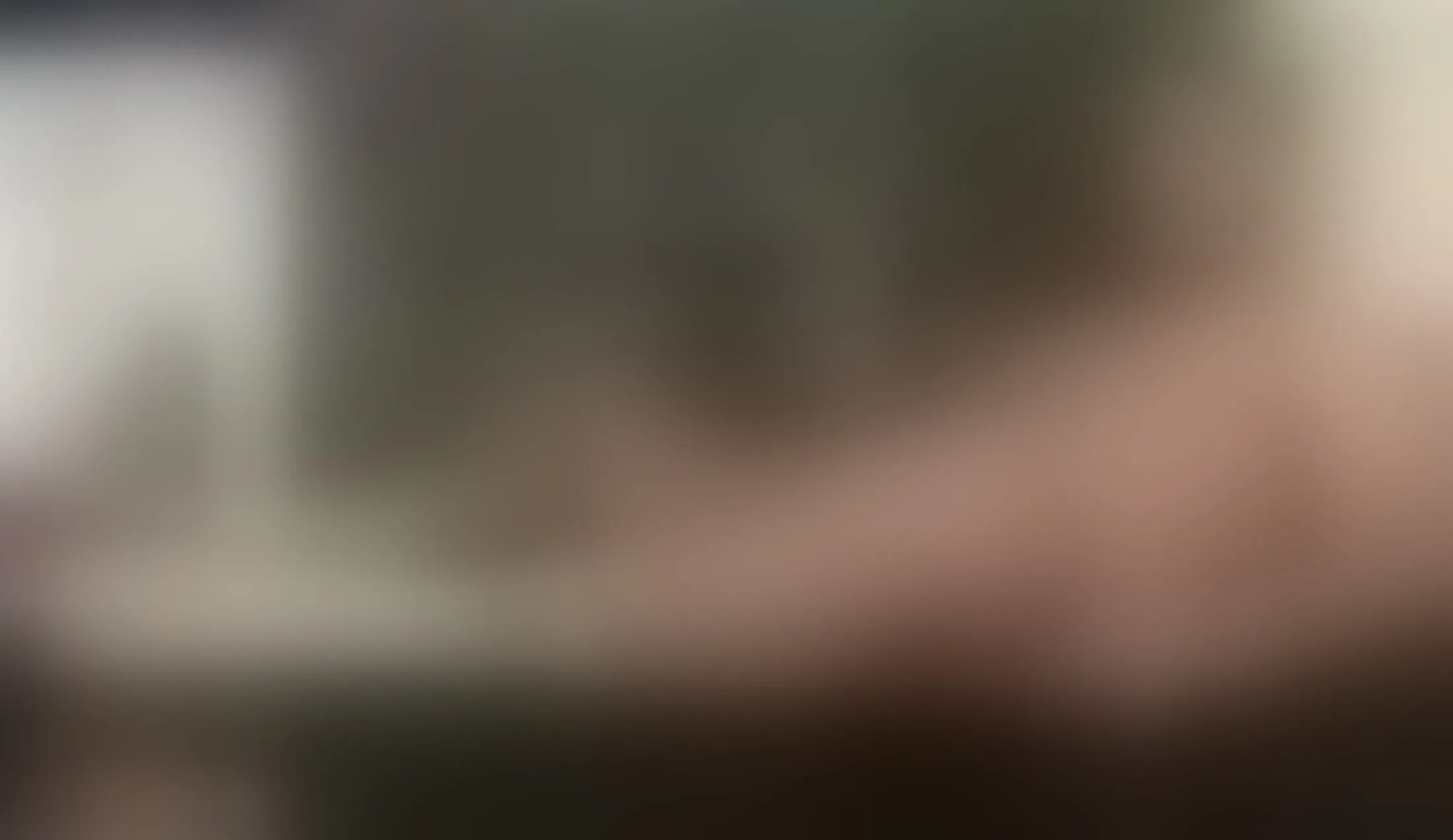Interprète ramzelbiaggi Vidéo 2