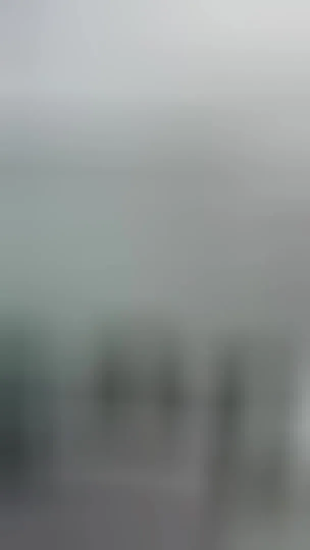 Interprete LivSummers Video 2