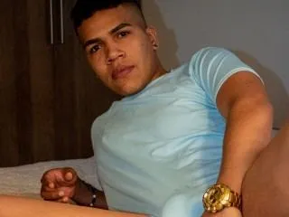 Image de profil du modèle de webcam StevanHouston