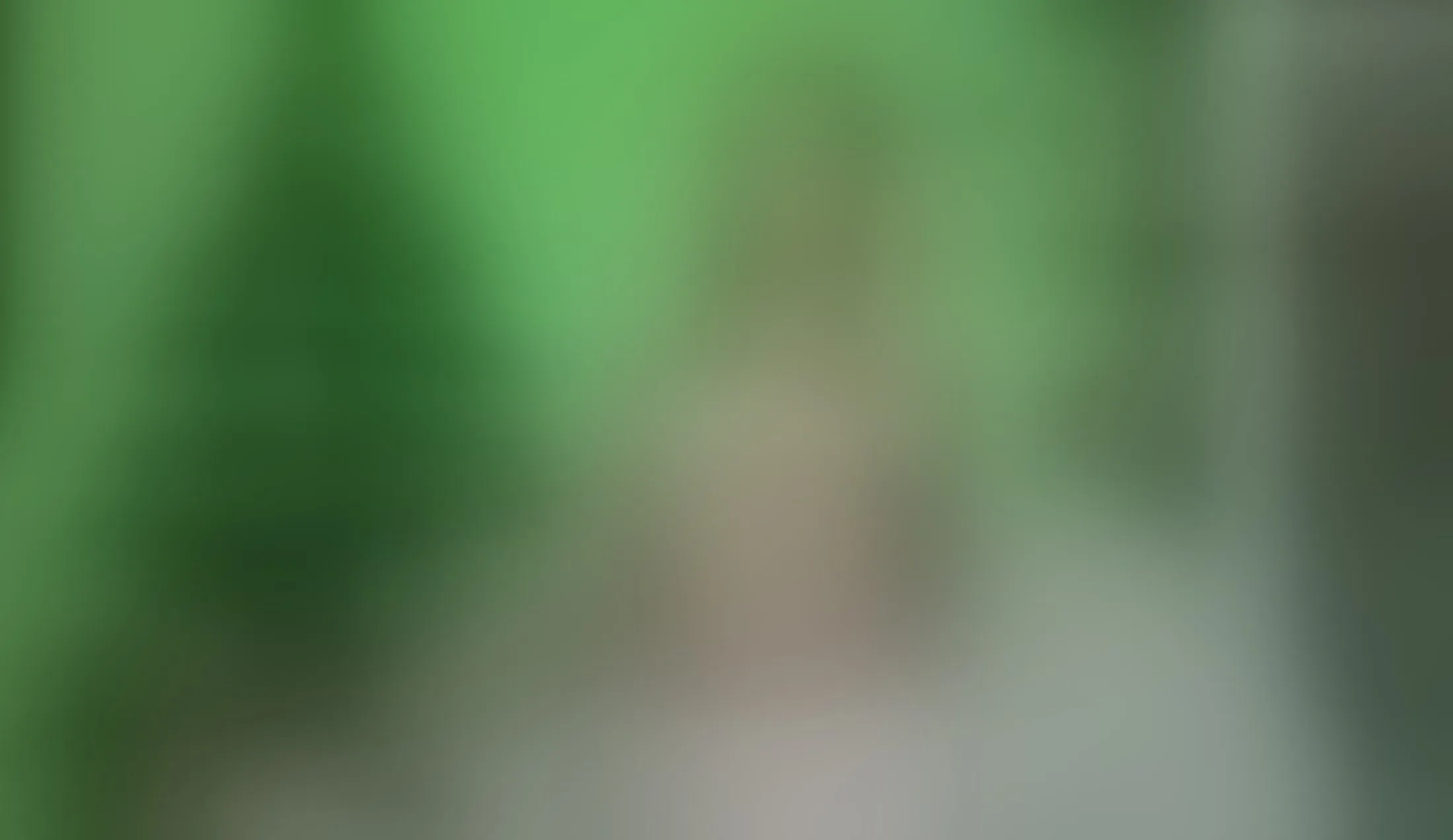 Interprete favoritegirlyyx Video 2