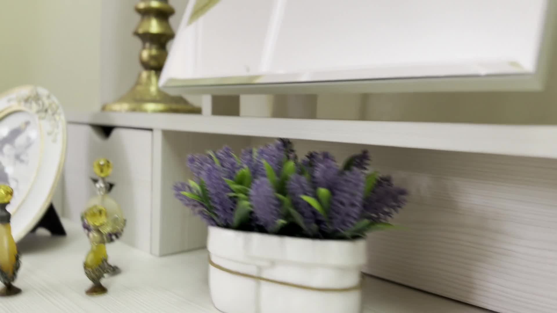 Interprete LisaxBerry Video 2