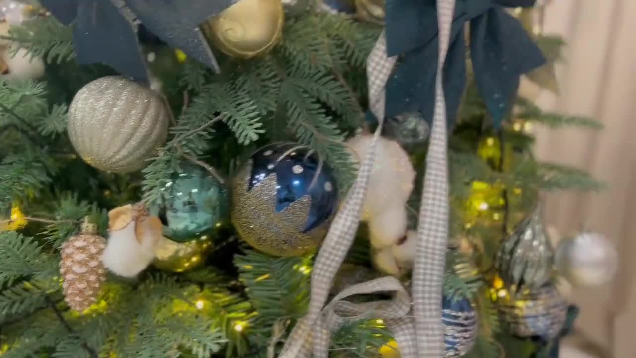 Interprete LisaxBerry Video 1