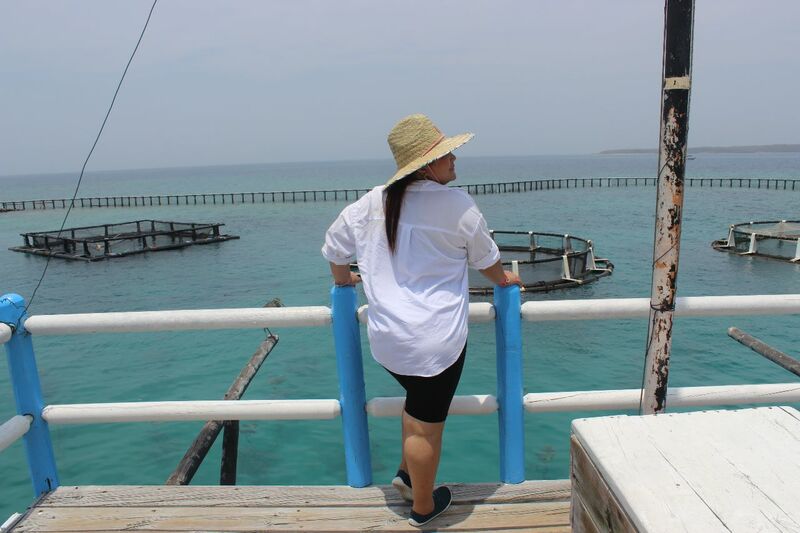 Artista Mousewatson111 Foto 12