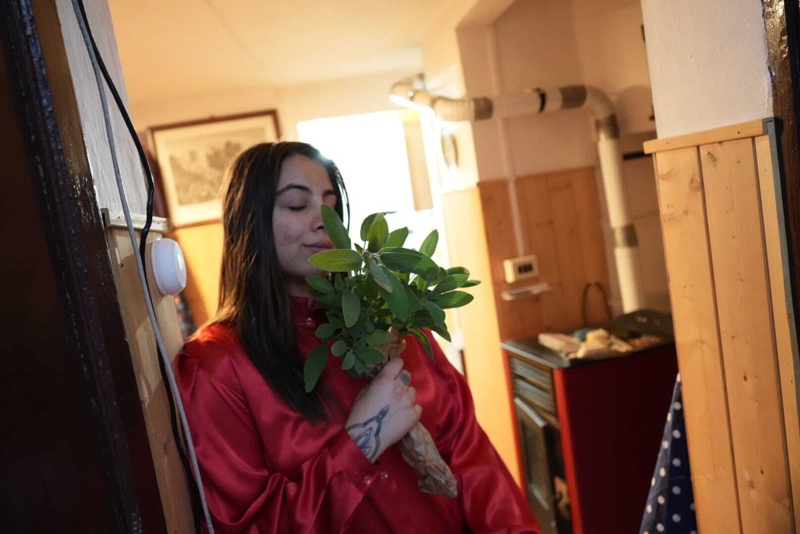 Utøver vanessabellafessa Bilde 8