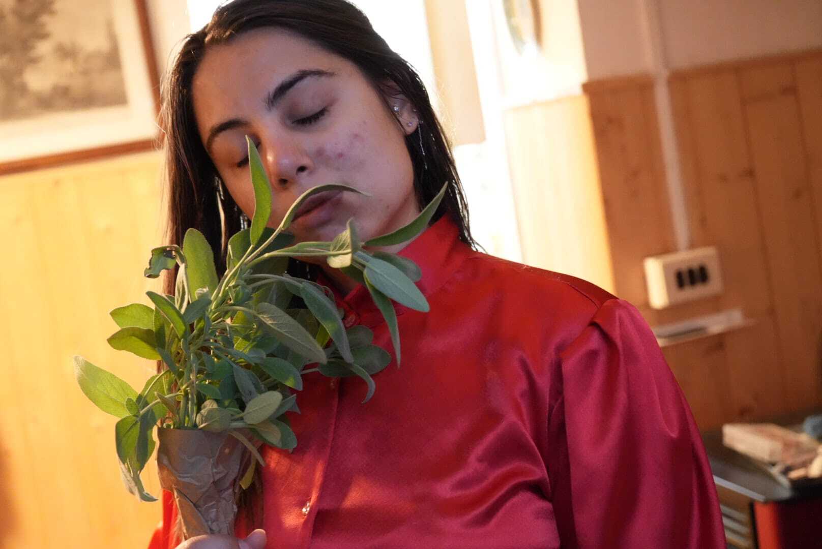 Utøver vanessabellafessa Bilde 7