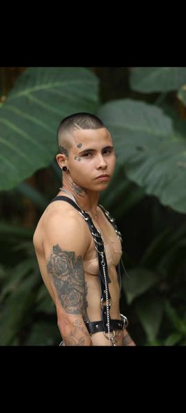 Interprète StefanxBoyxxx Photo 4