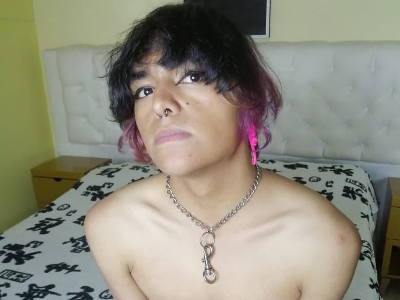 Foto de perfil de modelo de webcam de SoftyHim 