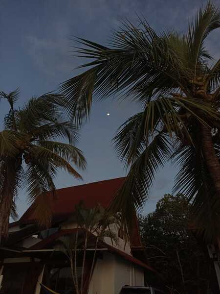 Interprete keiira20 Foto 8