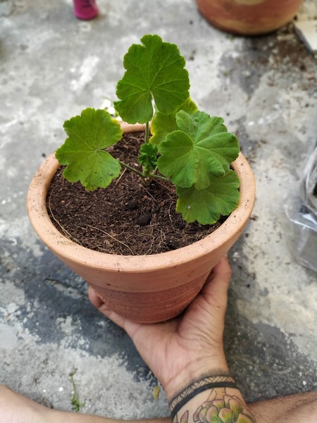 Artiest JacksonSnow Foto 2