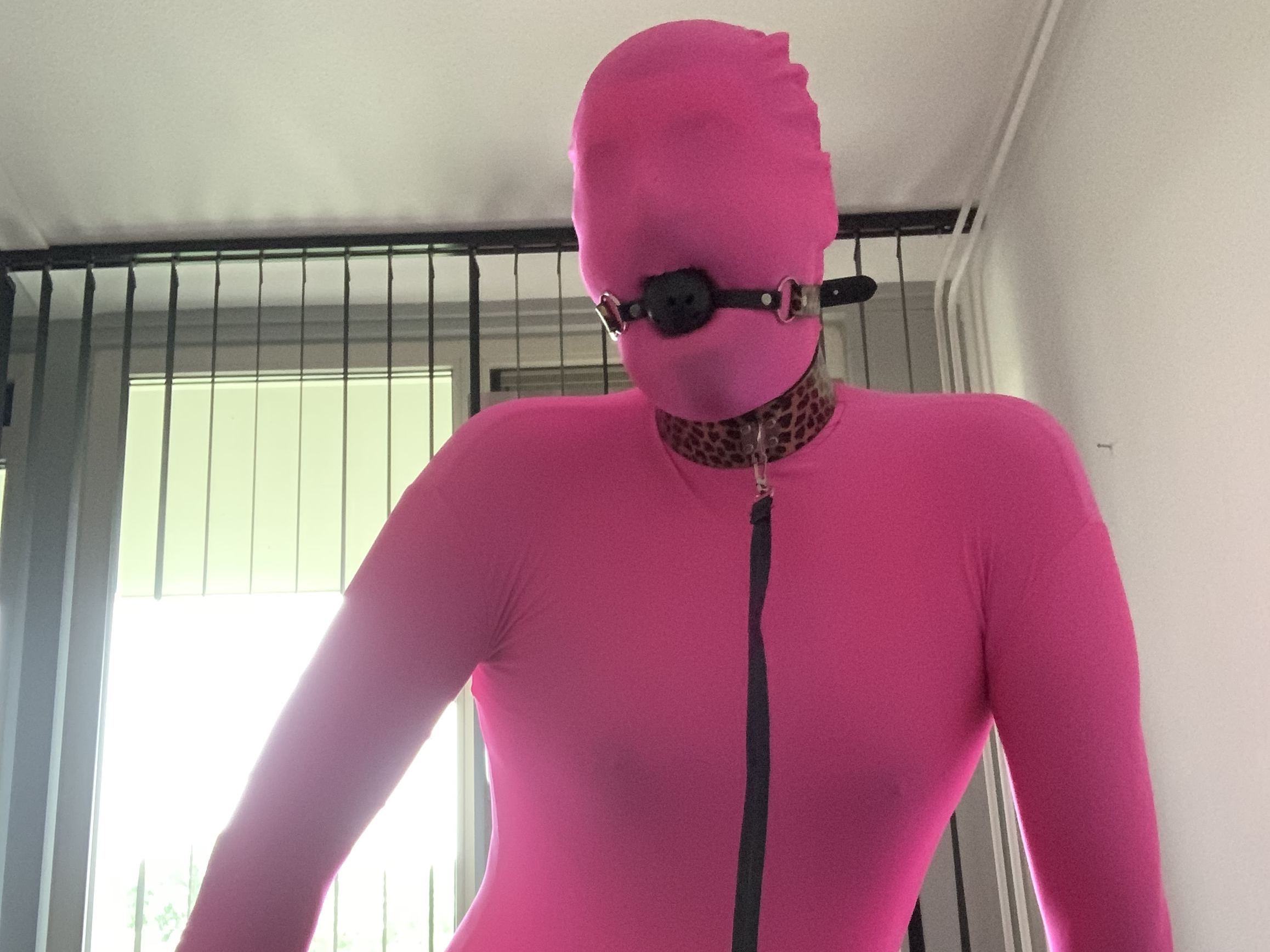 Image de profil du modèle de webcam MisterZentai