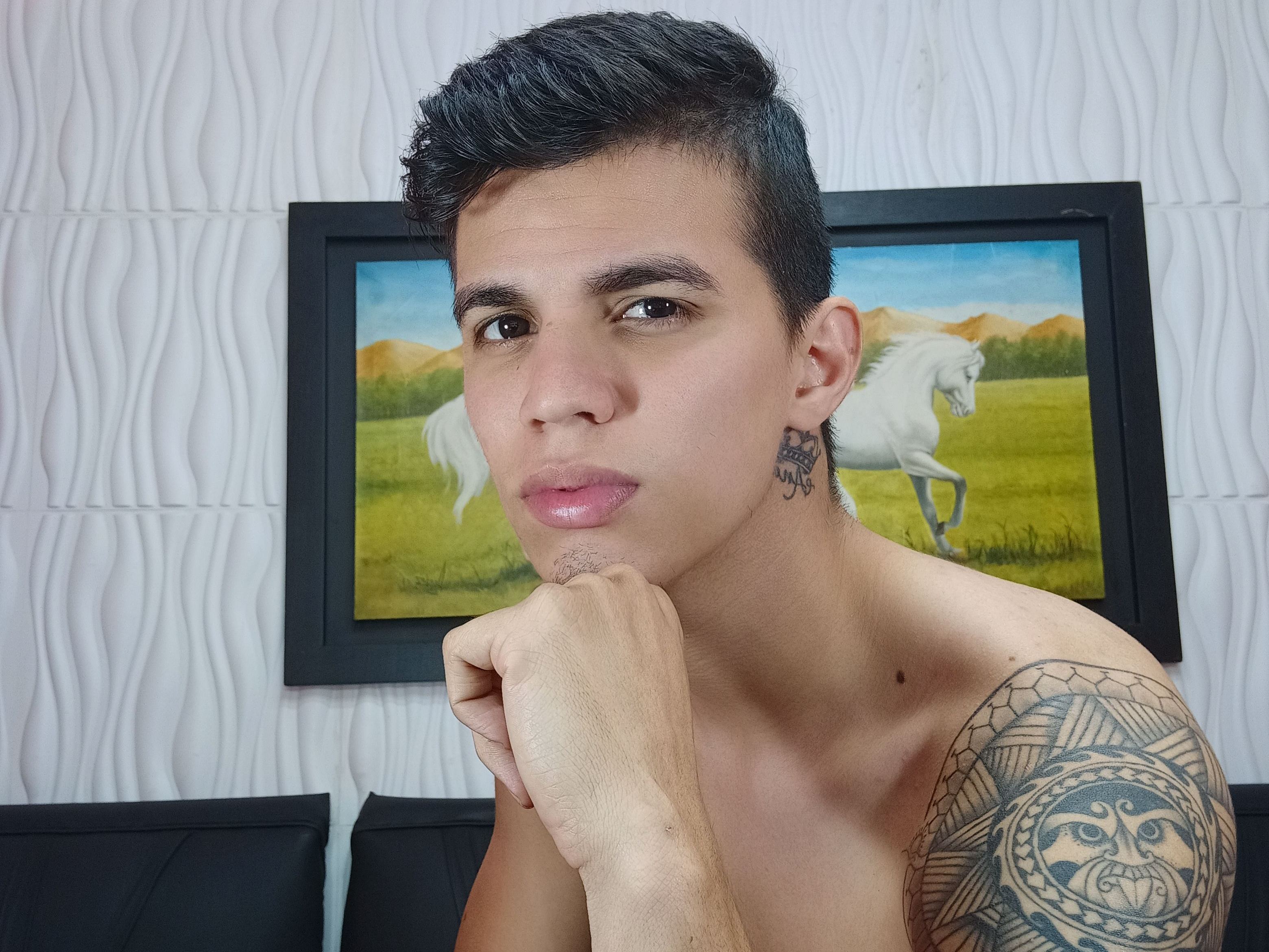 Foto de perfil de modelo de webcam de Hornyevan 