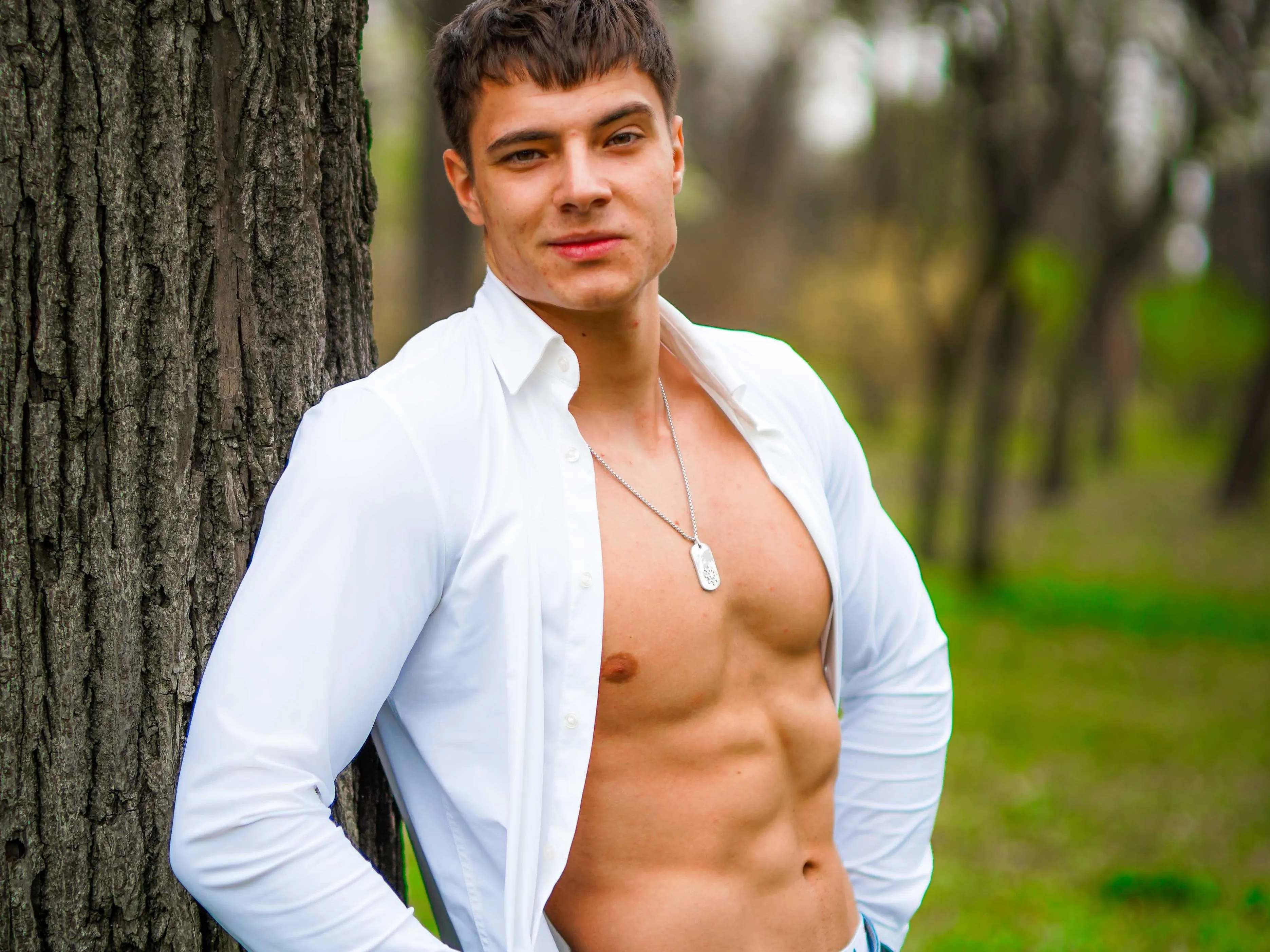 Foto de perfil de modelo de webcam de AshtonColt