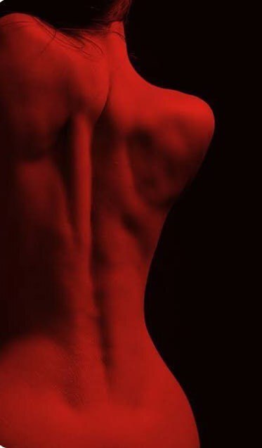 Artista KamillaFoxXS Foto 8