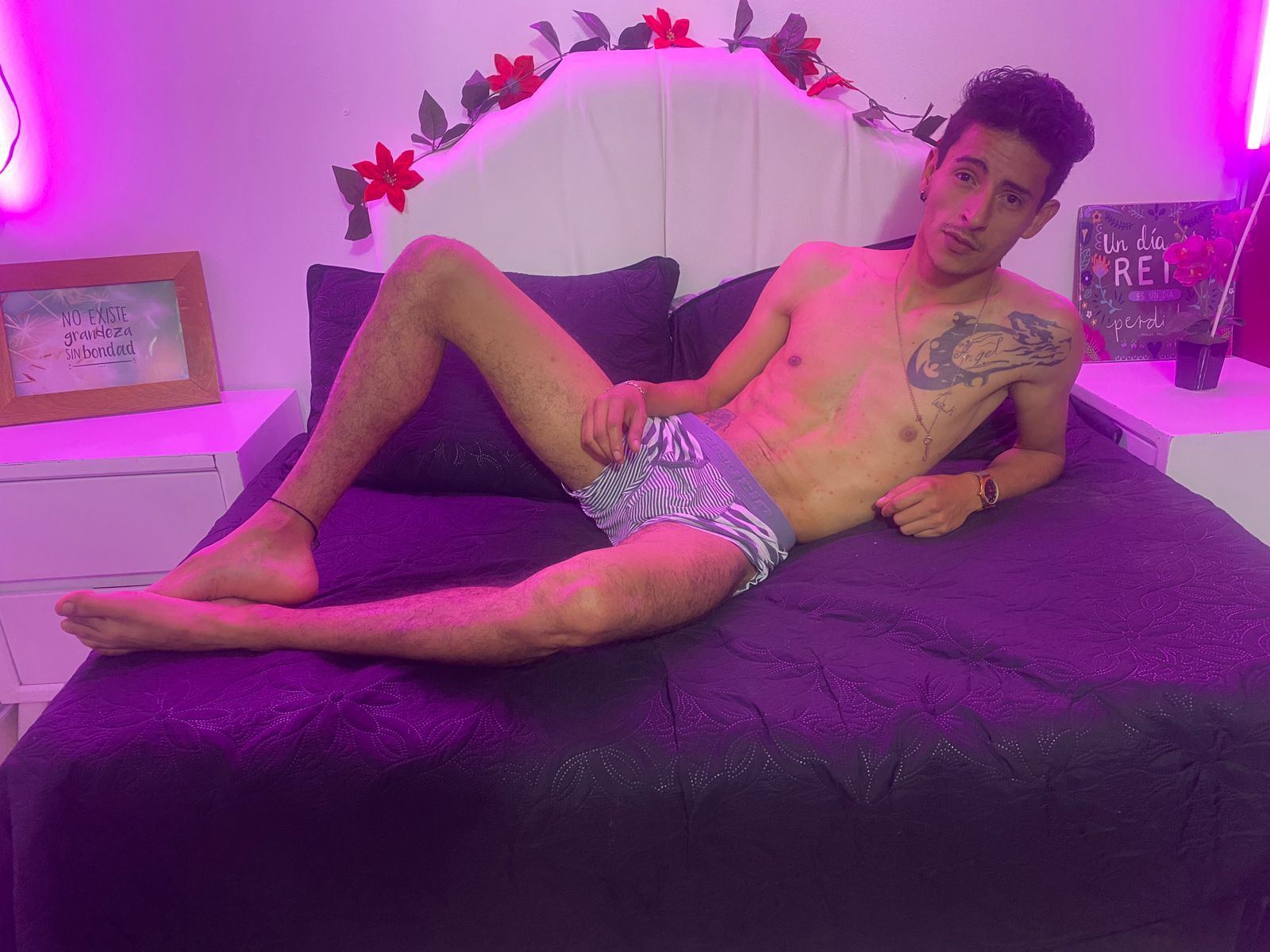 Foto de perfil de modelo de webcam de danimartins 