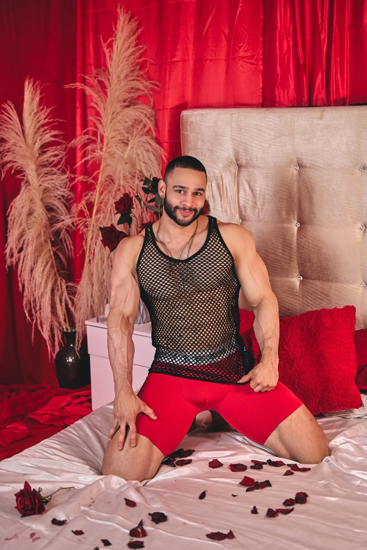 Interprete DylanLenox Foto 3