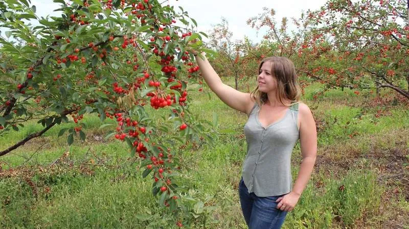 Intérprete White_Angel Foto 11