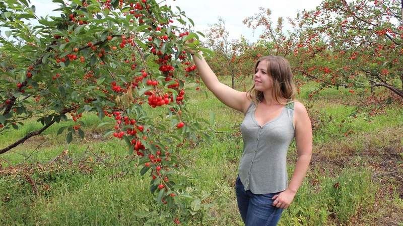 Artista White_Angel Foto 11