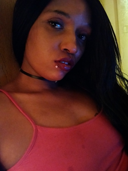 Artiest TheblackBunny Foto 4