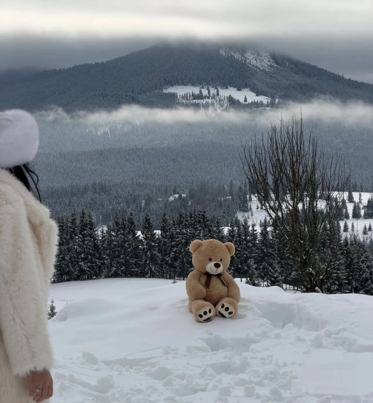 Darsteller FrancescaHarris18 Foto 5