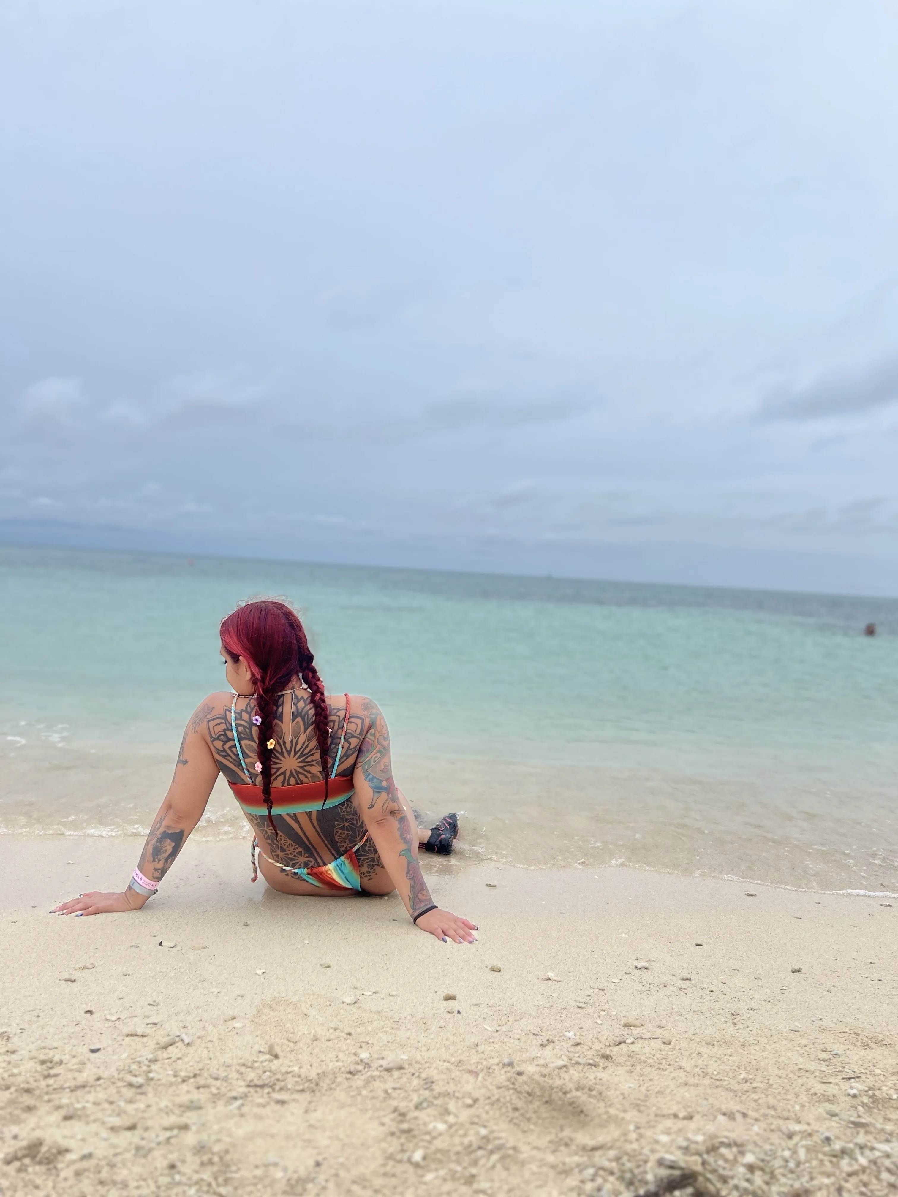 Interprète briannasteinn Photo 4