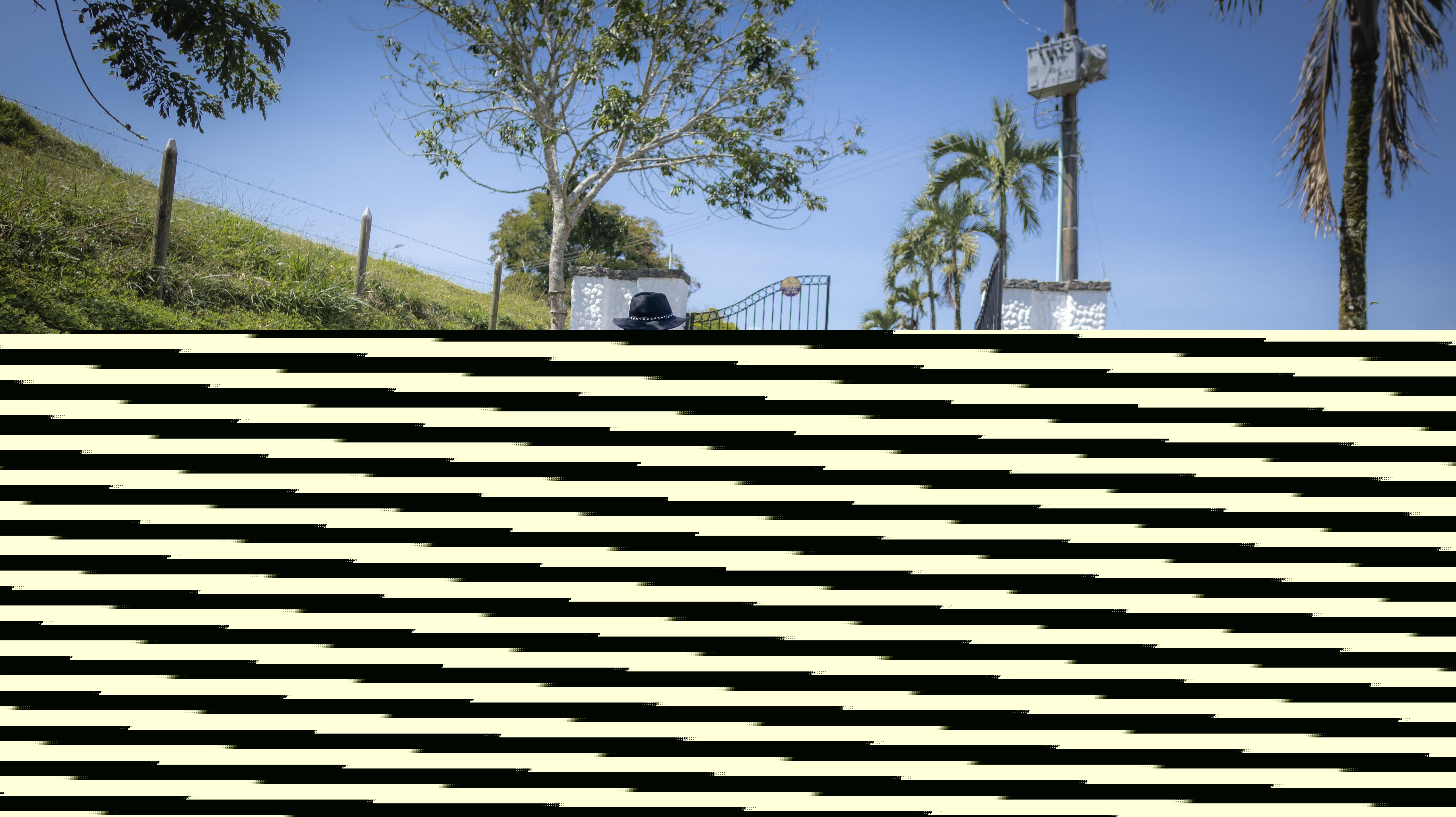 Interprete AriannaRoux Foto 10