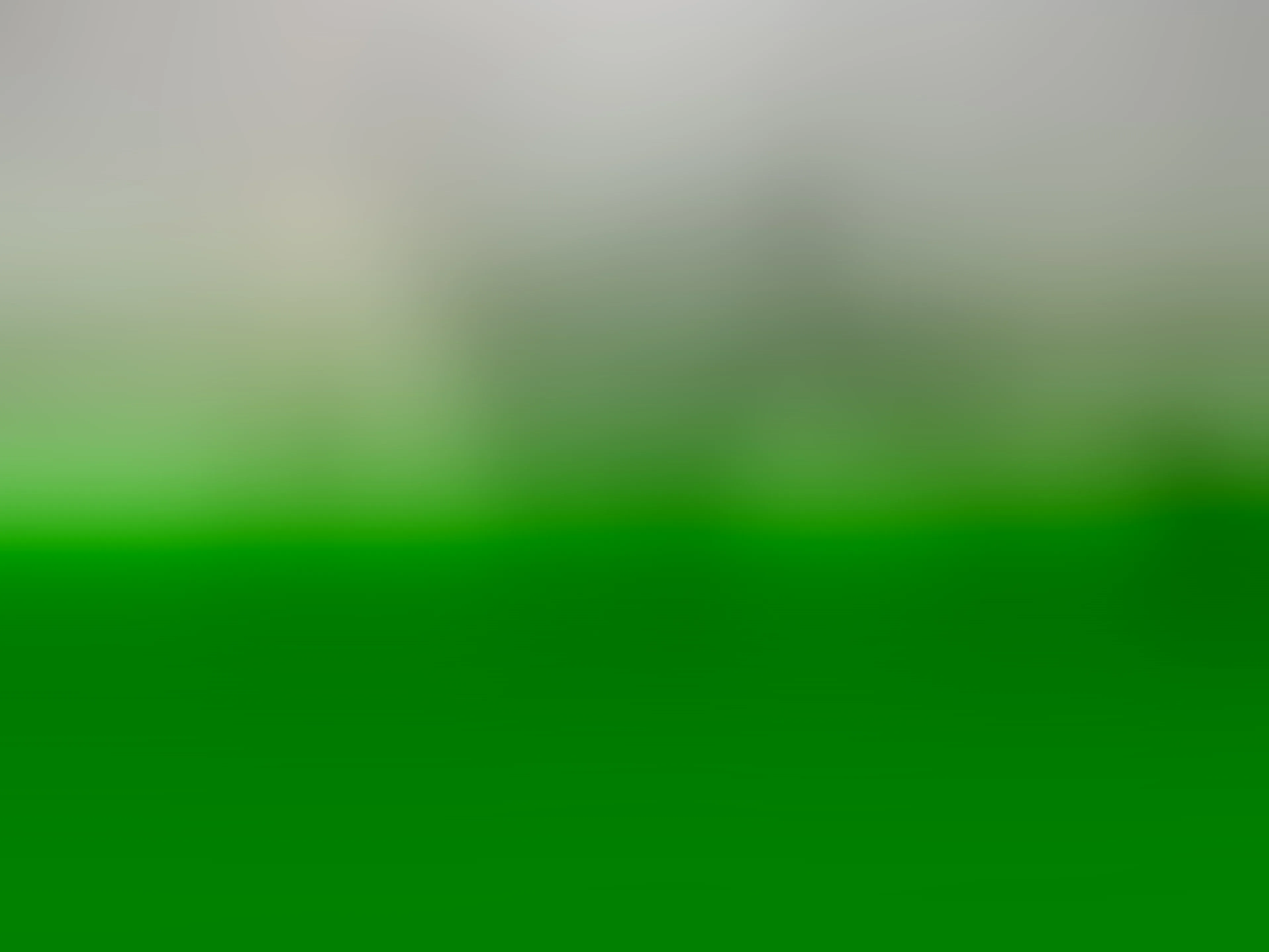 Image de profil du modèle de webcam stacyadamsthx