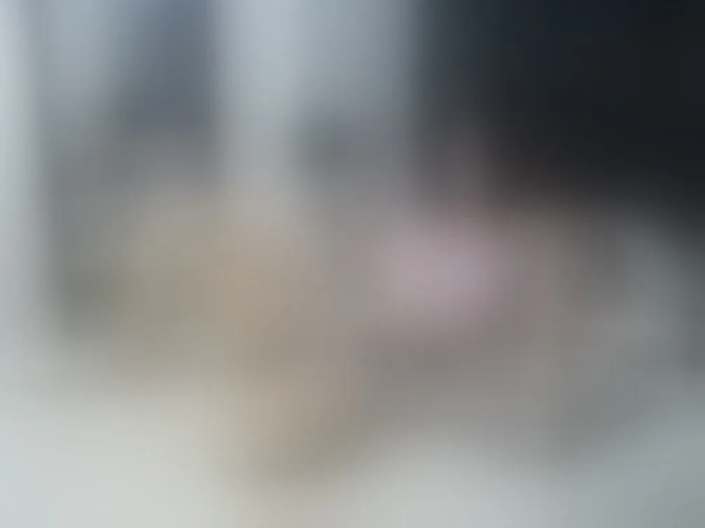 Image de profil du modèle de webcam jhoanasex