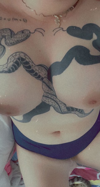 Interprète CosmoCookie Photo 3