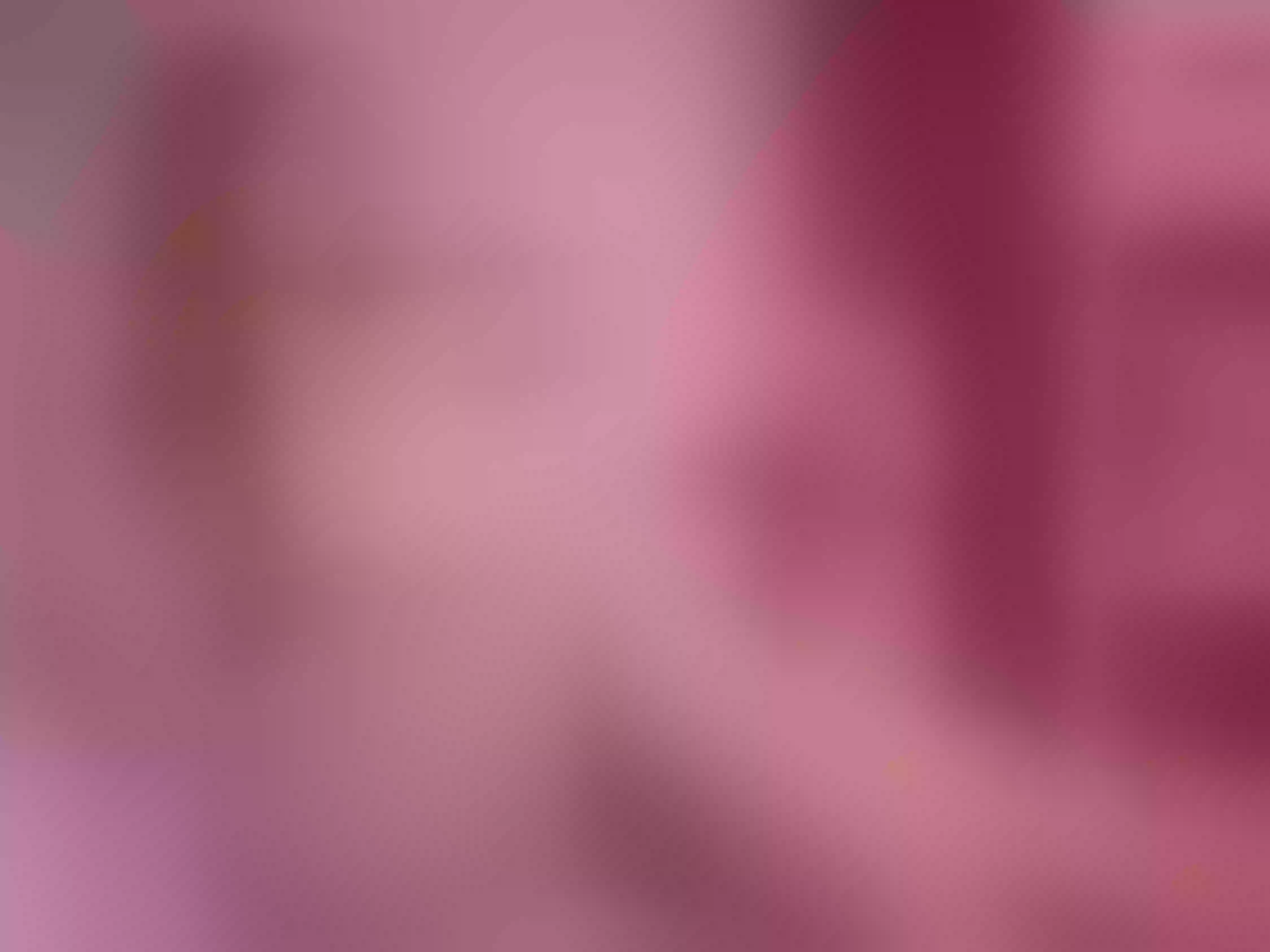 NattyTaylor immagine del profilo del modello di cam
