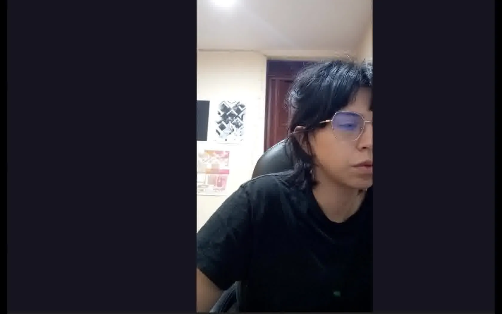 Artist SallyRicci Video 1