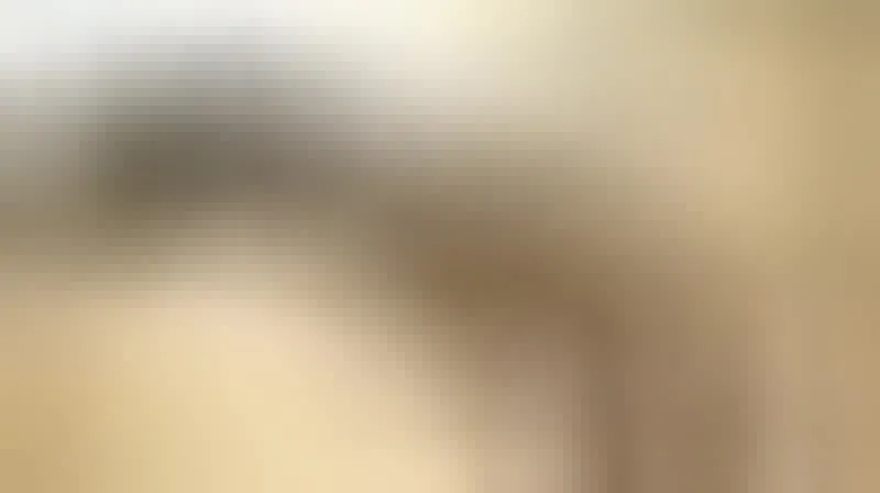 Artiest AngelicFelisha Video 3