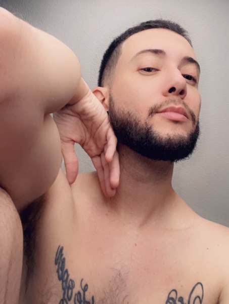 Artist VersSubhungallday Foto 8