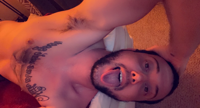 Artist VersSubhungallday Foto 6