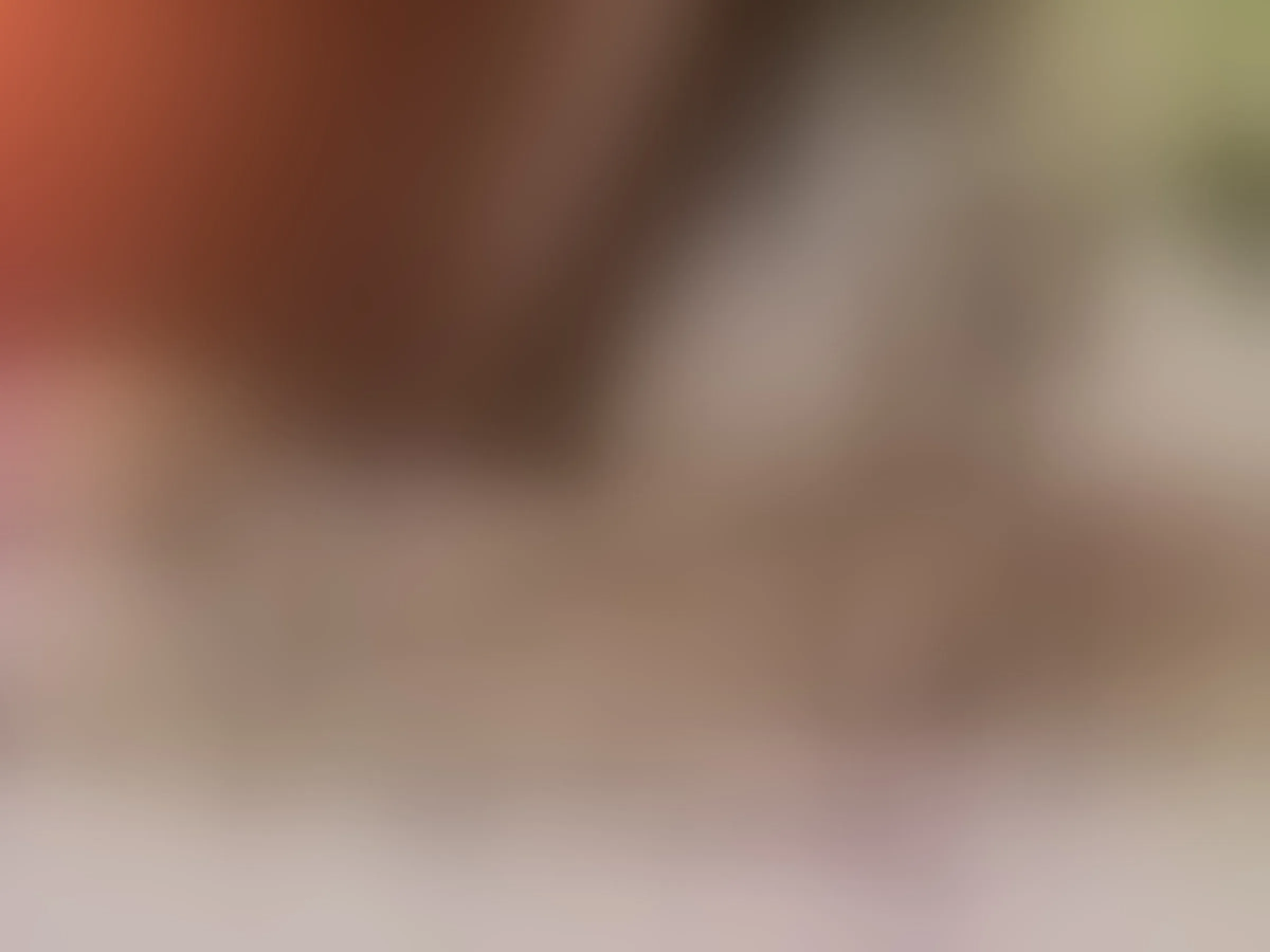eppica immagine del profilo del modello di cam