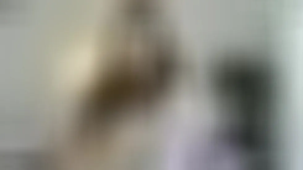 Interprète LilyReina Vidéo 1