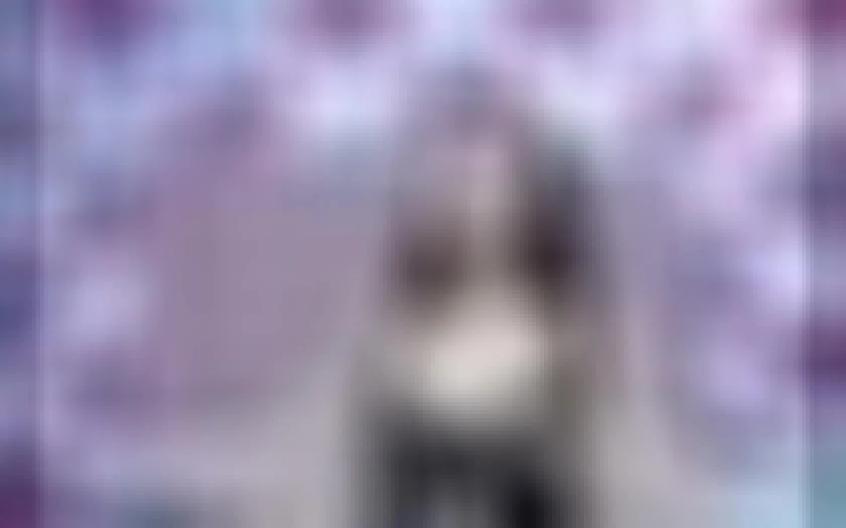 Darsteller ancatlatina Video 1