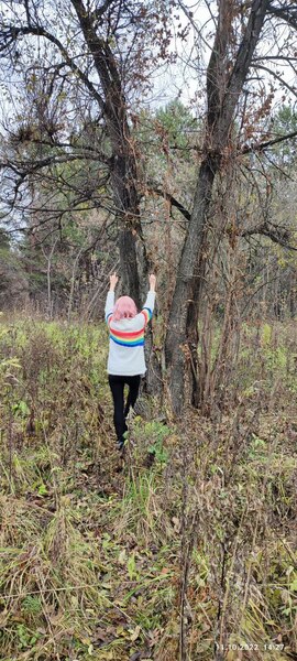 Utøver Astartaxx Bilde 9