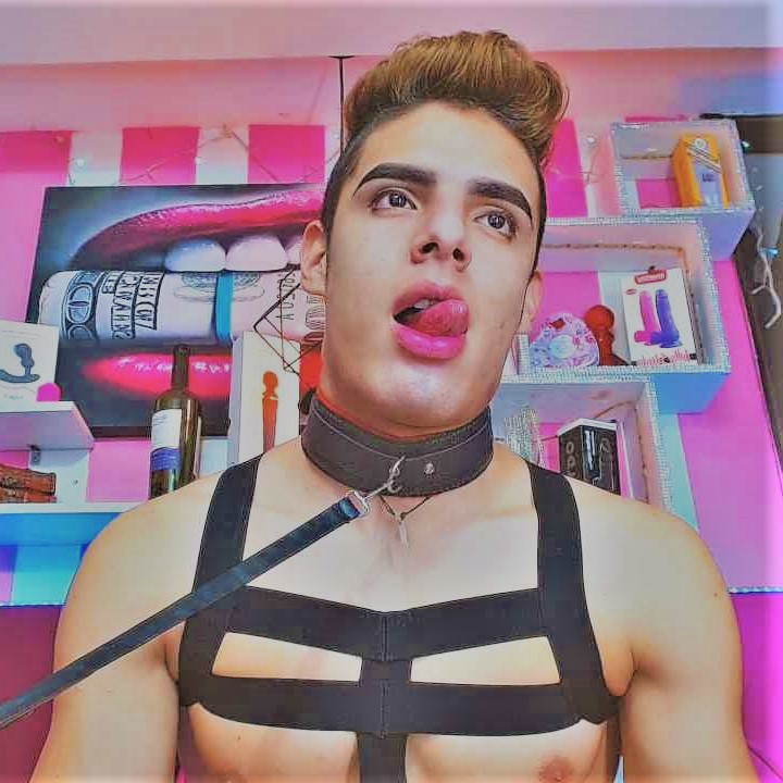 Interprète angelstivens Photo 5