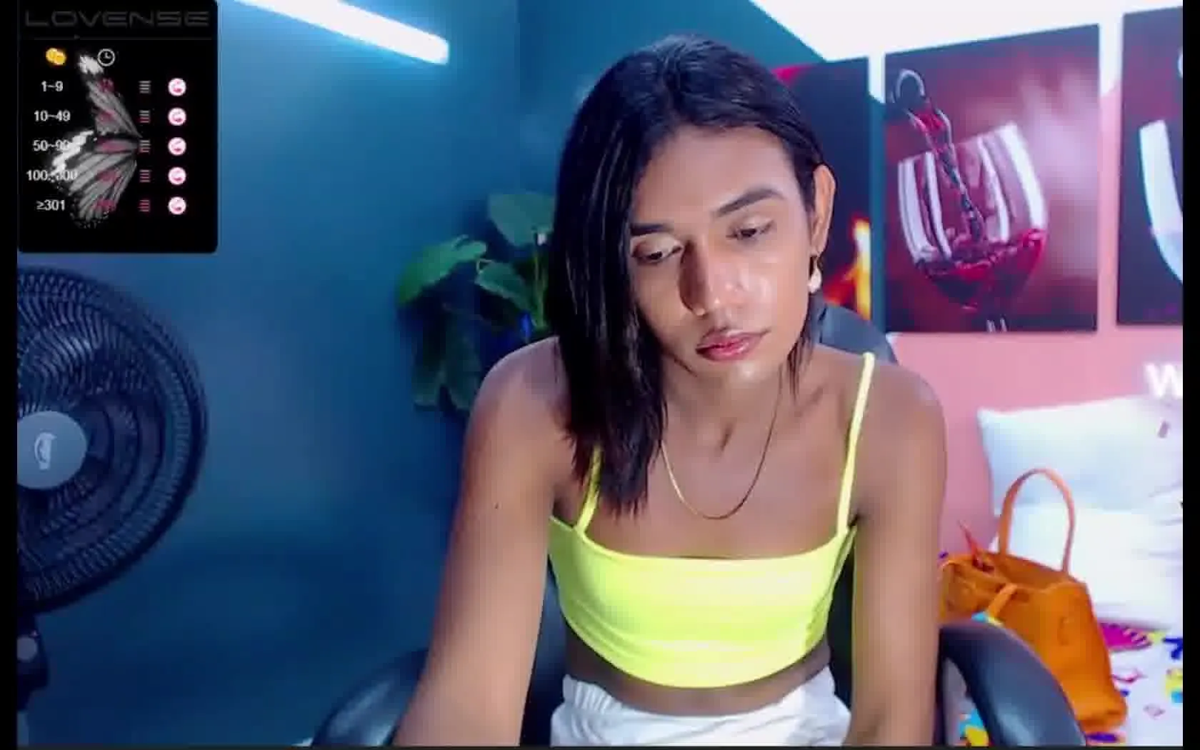 Artista mestizaweb Video 1