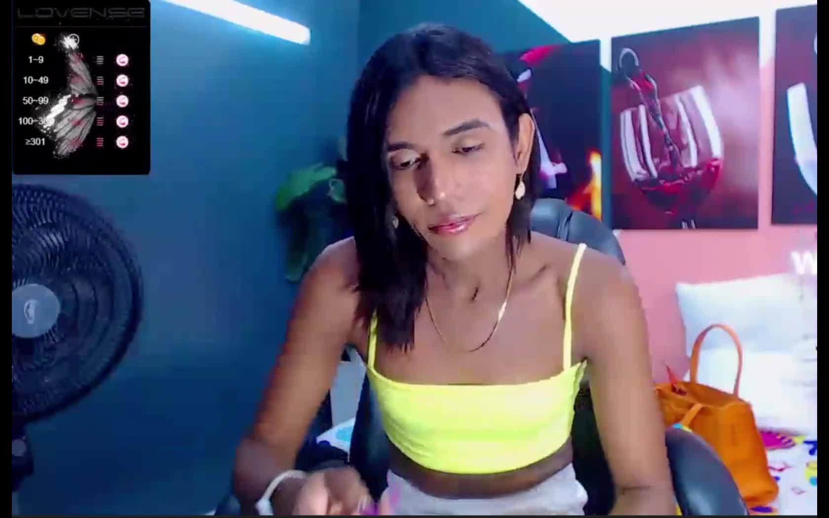 Artist mestizaweb Video 1