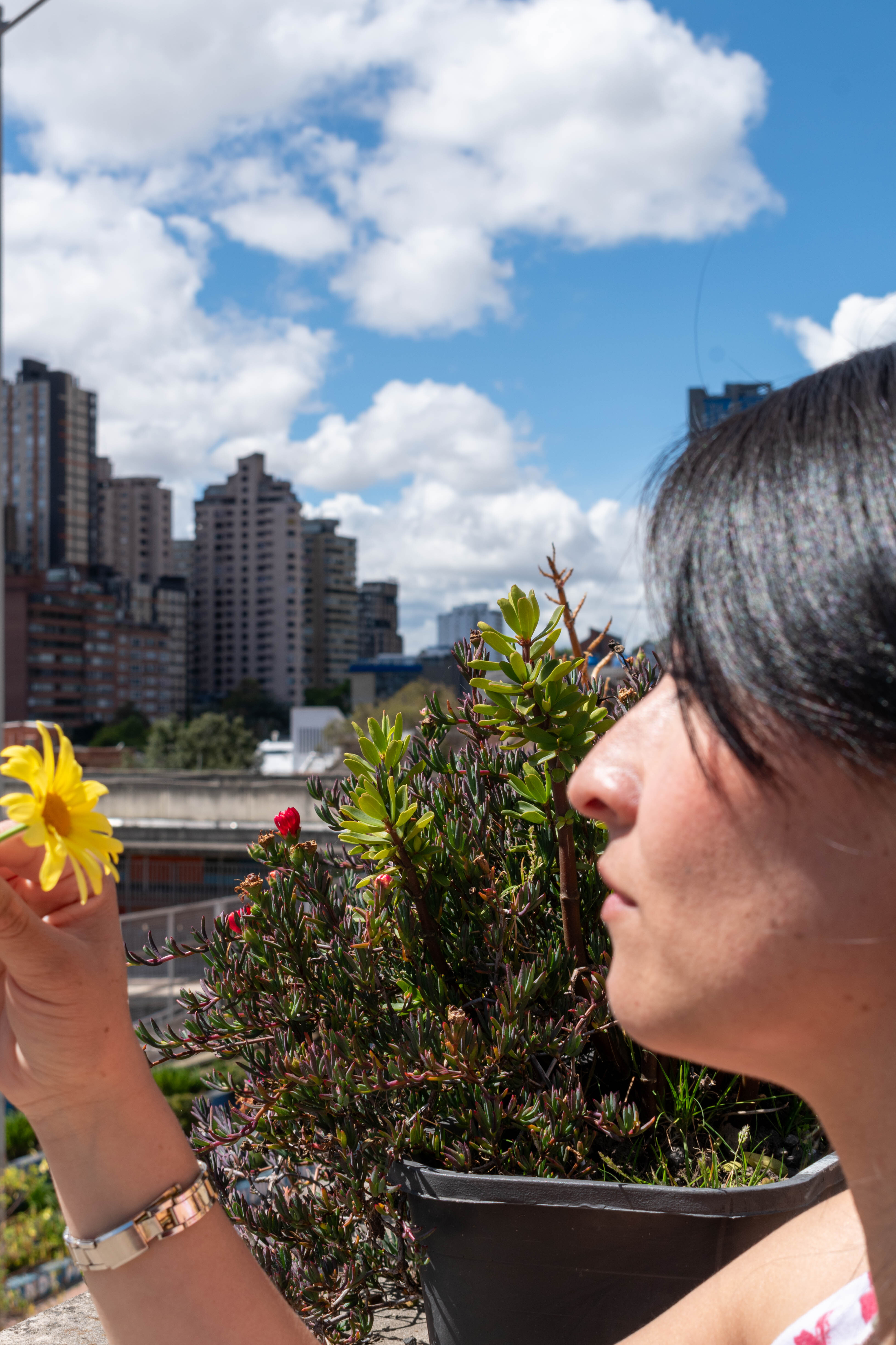 Interprete JainaRogers Foto 7