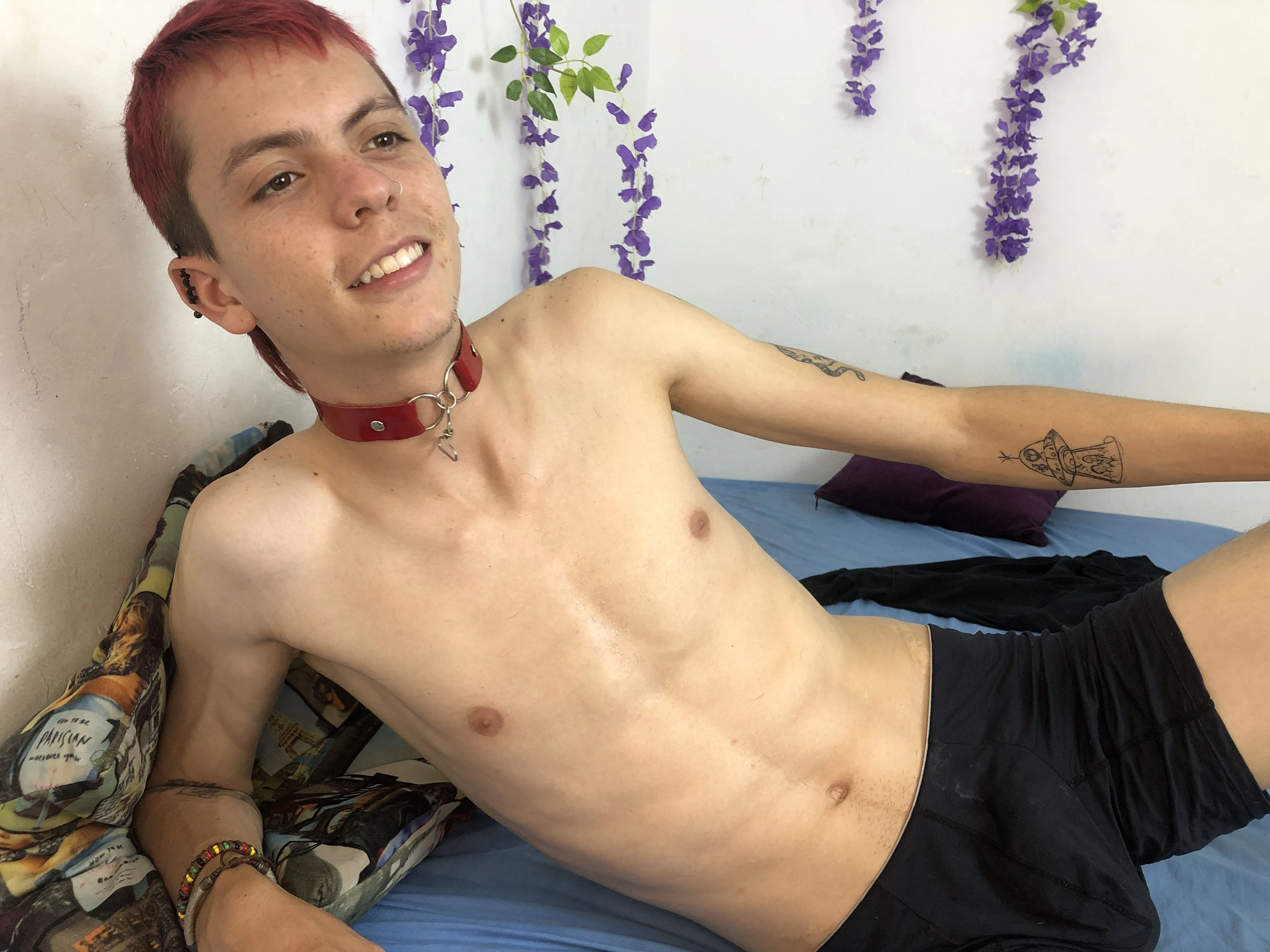 Image de profil du modèle de webcam trevorhouston