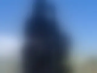 DEIBYY