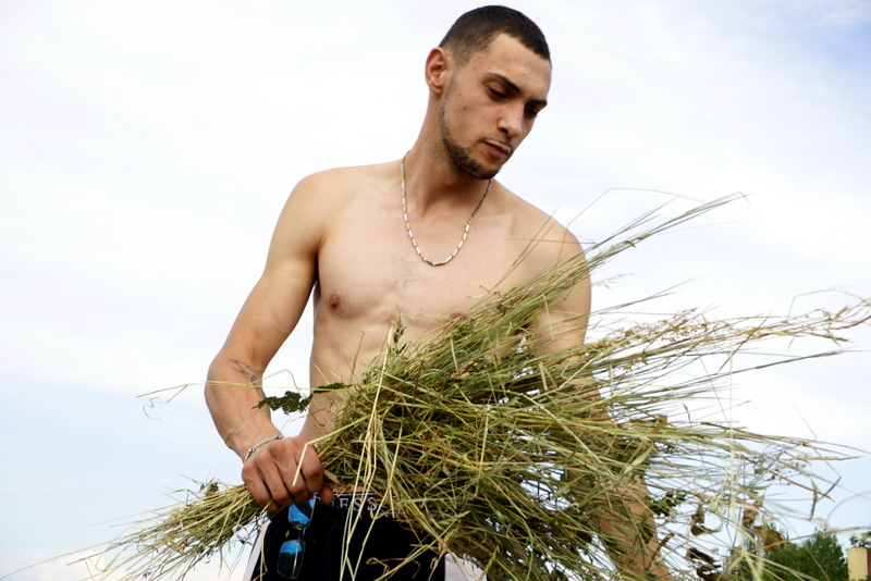 Artiest LeonSteel Foto 8