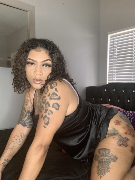 Intérprete ThaaBandzz Foto 3