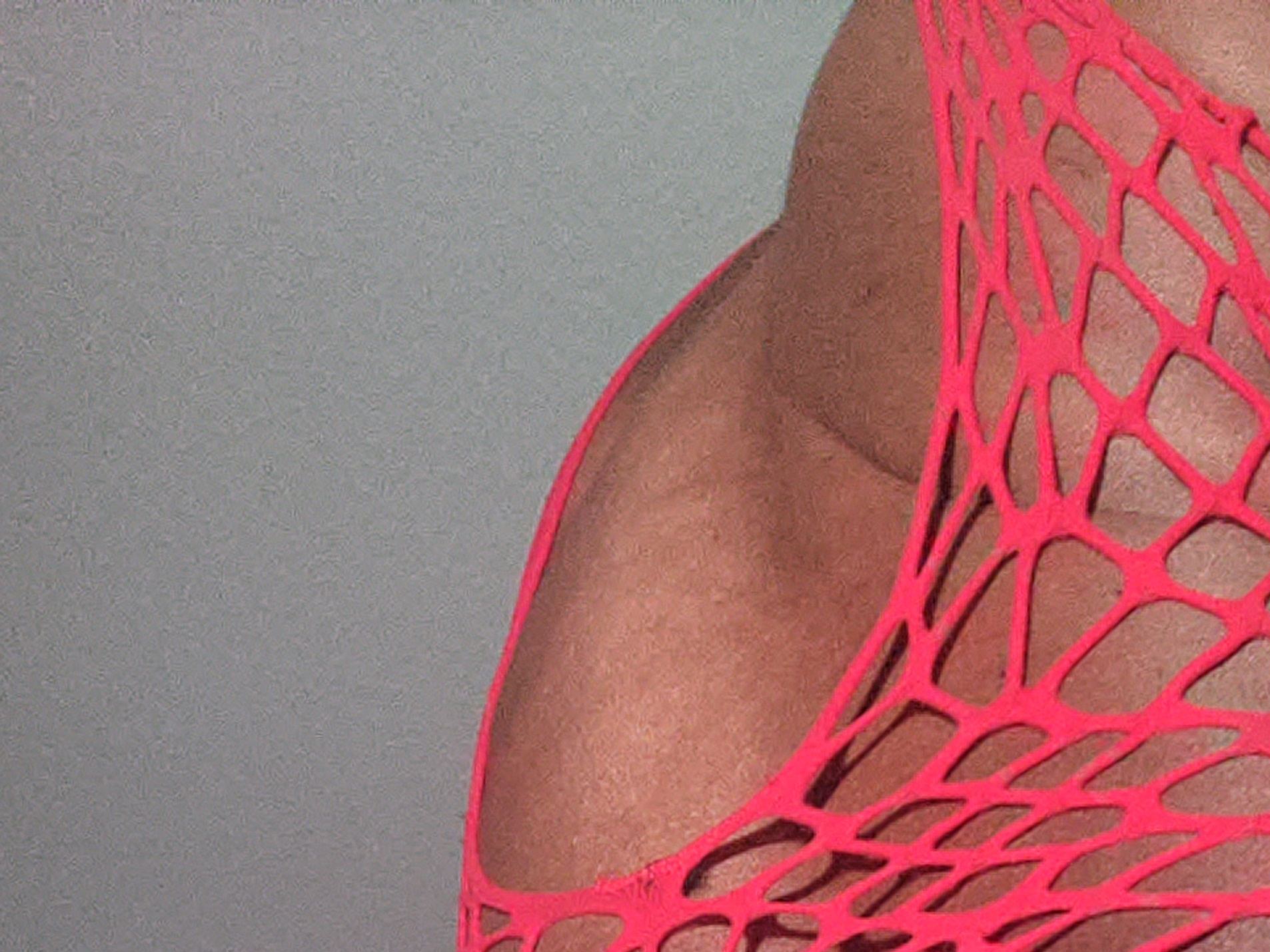 FlyOnDaWall69 profilbild på webbkameramodell